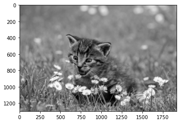 ../_images/0dc609050548773618e64069ec519d45b81ccea3ffcf2ac76b48badfe3708525.png