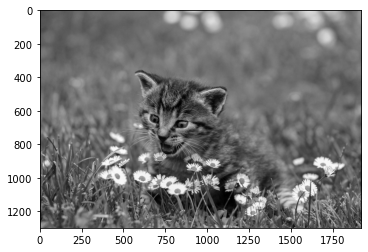 ../_images/58f2a93fc529b026fca01ec2fa9f0bd0570ae0241ea43176d3f037a6c33165ac.png