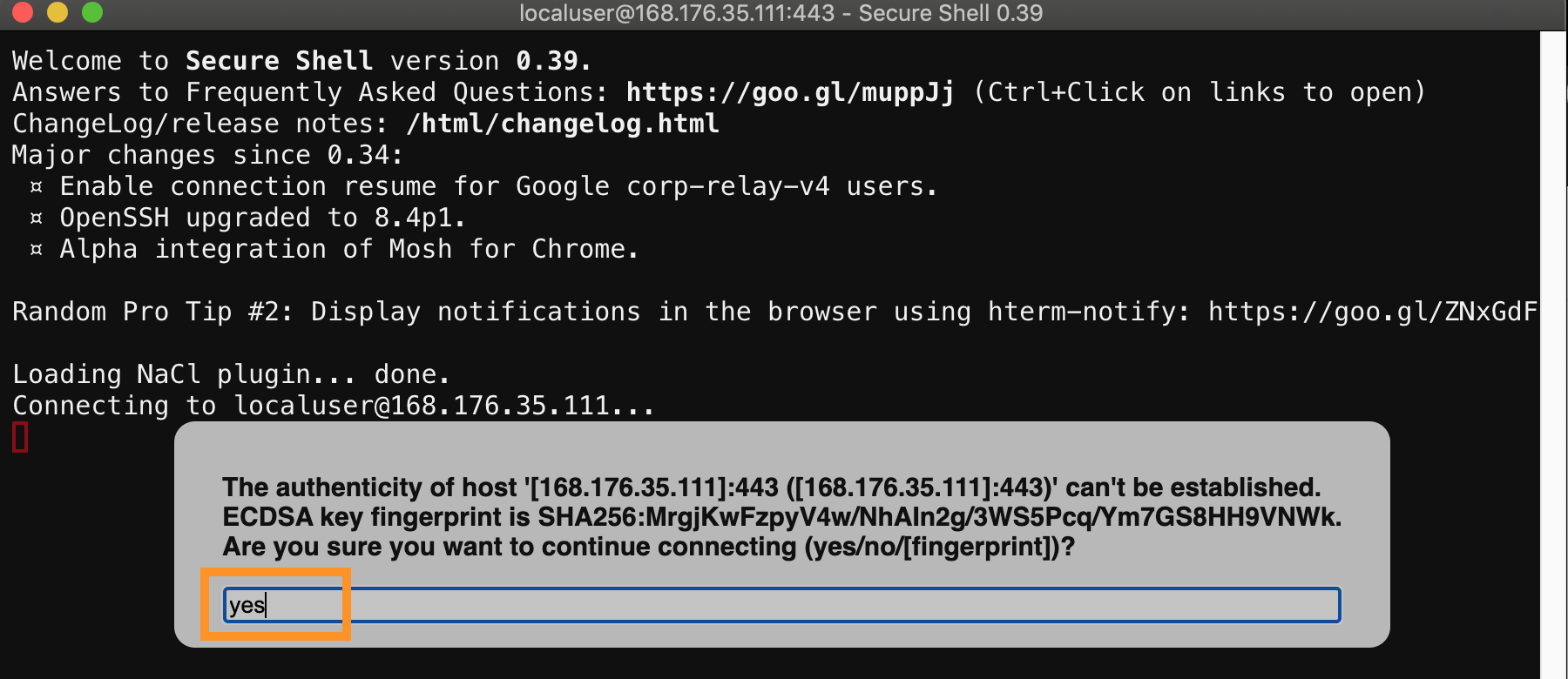 secshell-basic-2.png